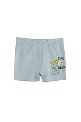 Özkan Underwear - Özkan 31802 5'li Paket Erkek Çocuk Karışık Renkli Desenli Pamuklu Yumuşak Rahat Şort Boxer (1)